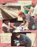 Doctor's Border Crisis: Treating Migrant Injuries at US-Mexico Wall