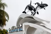 DOJ Sues SeaWorld Over Walker Ban, Alleging ADA Violations