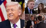 Donald Trump's Hollywood Cameos: The Businessman's Strategic Film Appearances