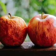 Don't Discard Old Apples: Two Hidden Health Benefits Revealed