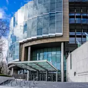 Dublin Father Jailed for Nine Years After Subjecting Six Children to Horrific Cruelty