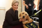Duchess of Edinburgh Marks 40 Years of Guide Dogs in Northern Ireland