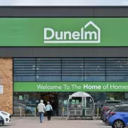 Dunelm's £20 Windowsill Planter Earns Rave Reviews for Cheerful Design