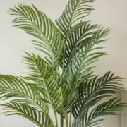Dunelm's 'Incredibly Realistic' Artificial Palm Plant Hits Sale for Neglectful Gardeners
