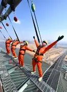 Edge-Walking and Musical Robots: A Global Snapshot of Wednesday's Events