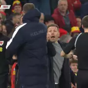 Edin Dzeko and Craig Bellamy Clash in Heated Wales vs Bosnia World Cup Play-Off