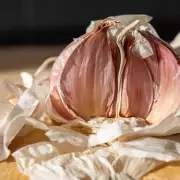 Egg Carton Storage: The Gardener's Secret to Keeping Garlic Fresh for Months