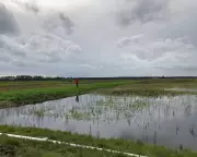 England to Allocate 7% of Land for Nature and Renewables to Meet Green Targets