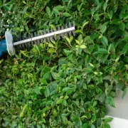 Essential UK Gardening Laws Homeowners Must Follow to Avoid Fines