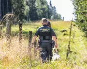 EU Environment Chief Proposes Rewilding Borders to Deter Invasions