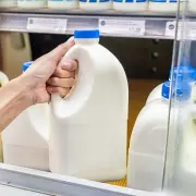 Ever Fresh Dairy Collapses into Liquidation Amid UK Dairy Industry Turmoil