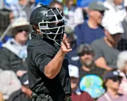 Ex-MLB Umpire Warns of Humiliation for Officials from Computer Geeks
