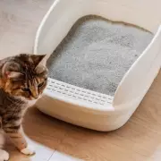 Expert Reveals Simple Garden Tricks to Deter Rats This Breeding Season