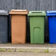 Expert Tip: Use Newspaper to Keep Wheelie Bins Fly-Free and Clean