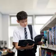 Experts Demand School Libraries Become Legal Right Amid Funding Crisis