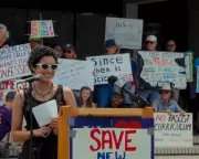 Florida's New College: A Documentary Chronicles the Fight Against DeSantis's 'War on Woke'