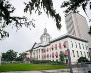 Florida's Proposed State Intelligence Office Raises Surveillance Concerns