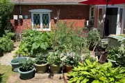Front Yard Vegetable Gardens: A Sunny Solution for Space and Harvest