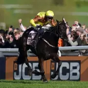 Galopin Des Champs Ruled Out of Cheltenham Festival Due to Injury Setback