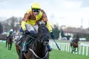 Galopin Des Champs Withdrawn from Cheltenham Gold Cup, Season Over