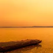 Garden Furniture Alert: Protect Against 'Blood Rain' Damage This Weekend