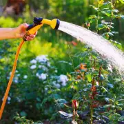 Gardeners Applaud Space-Saving Expandable Hose That Cuts Watering Time