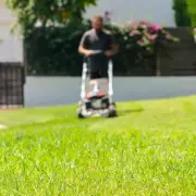 Gardening Enthusiast Reveals How to Secure £16 Grass Seed for Just 73p