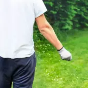 Gardening Expert Reveals One Mineral to Transform Your Lawn This Spring