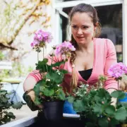 Gardening Expert Urges Planting Echinacea Before March Ends for Vibrant Borders