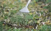 Gardening Expert Warns Against Early Lawn Mowing This Spring