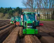 Global Food Crisis Looms as Iran War Threatens Fertiliser Supplies