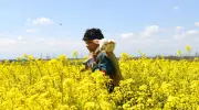 Global Photo Diary: Conflict, Beauty, and Daily Life Across Continents