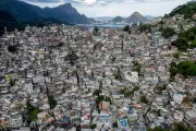 Global Snapshot: From Rio's Favelas to Crufts and AI in Berlin