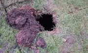 Golf Course Sinkhole Reveals Hidden 19th-Century Wine Cellar