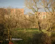 Government Data Reveals Urban Areas in England With Zero Access to Nature Within 15-Minute Walk