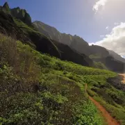Hawaii Helicopter Crash Kills Three and Injures Two on Kauai Beach