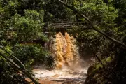Hawaii Takes Control of Aging Wahiawa Dam After Evacuation Scare