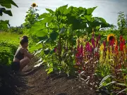 Hawaii's Small Farmers Face Long Recovery After Catastrophic Flooding