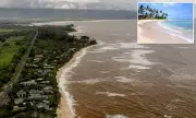 Hawaii's Waters Turn Toxic Brown After Historic Storms Flood Sewage Into Ocean