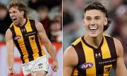 Hawthorn AFL Stars Arrested in US for Trespassing on Scissor Lift