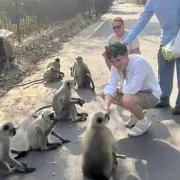 Hollyoaks Star Oscar Curtis Hospitalised After Monkey Bite on Indian Holiday