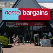 Home Bargains' £10 Garden Lights Create Soothing Nighttime Atmosphere