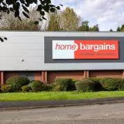 Home Bargains' £5 Solar Light Brightens Gardens with Rustic Charm