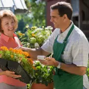 Home Bargains' £6 Self-Watering Planter Promises Effortless Gardening