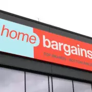 Home Bargains' £6.99 Solar Lantern Adds 'Soft Glow' to Gardens This Spring