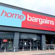 Home Bargains Sells Elegant £1.99 Garden Wall Art for Indoor and Outdoor Spaces