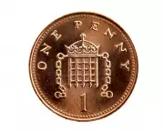 Houseplant Myth Busted: Pennies in Soil Offer No Copper Boost for Plants