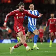 How to Watch Brighton vs Liverpool: TV Channel, Live Stream, Kick-Off Time