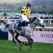 Il Etait Temps Survives Scare to Win Cheltenham's Champion Chase for Kieswetter