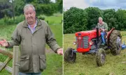 Jeremy Clarkson's Farm Faces Financial Strain Amid Filming Delays and TB Outbreak